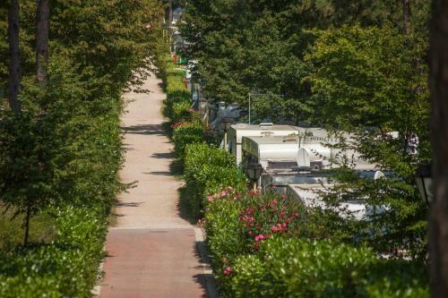 Camping Village Marepineta
