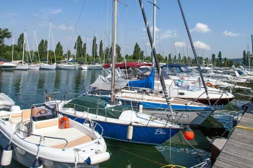 Camping Village Marepineta