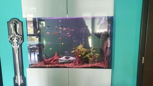 Apartamento Nemos Gem