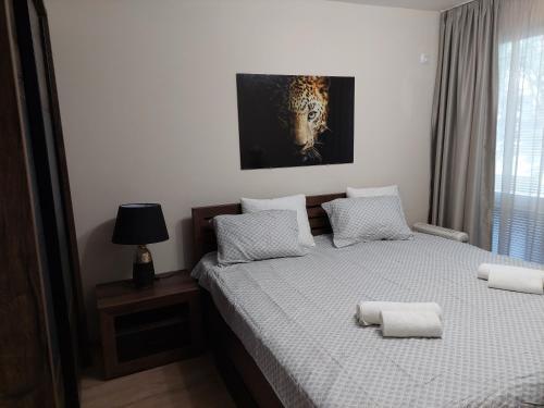 Apartamento ????