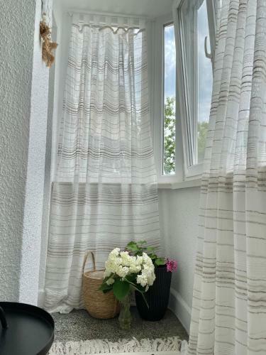 Apartamento Casa Carina
