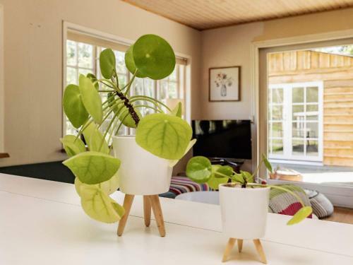 Holiday Home Stege XVI