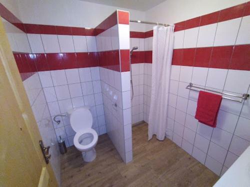U Svat� Roz�lie