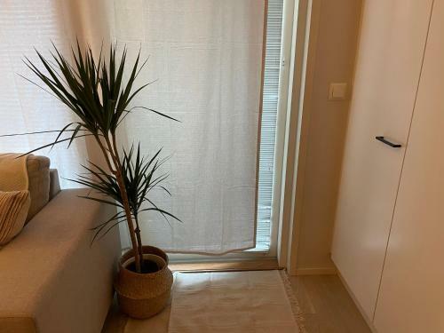 Apartamento Lux Home II