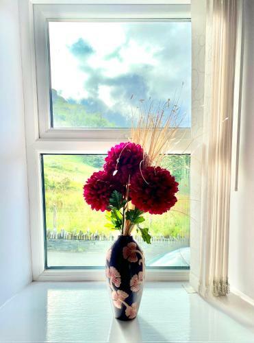 Antur Cottage