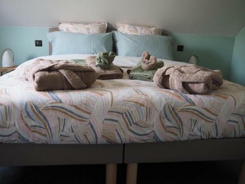 G�te Le Renouveau Avec Jacuzzi Privatif