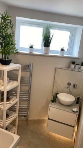 Asylum Apartment