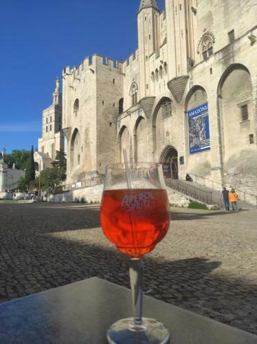 Apartamento Palais Des Papes - Studio + Cour Privative