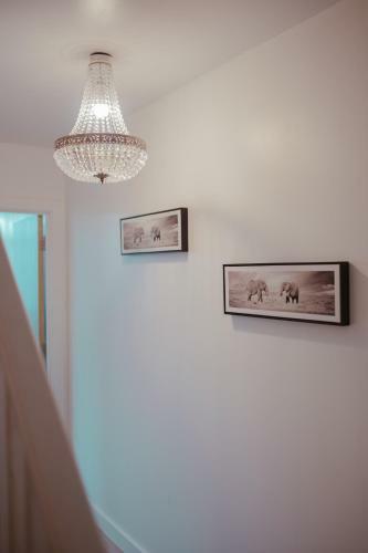 Bv Luxury Apartment Penthouse Conditioning House