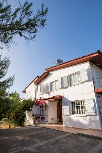 Villa Reiki, Classy Beachfront Home At Lakkopetra