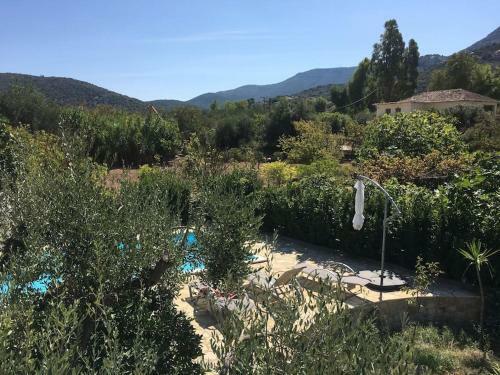 Metropolis Villa