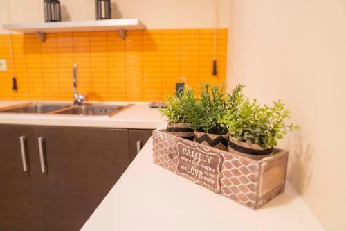 Apartamento Vento
