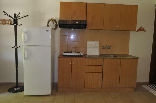 Hostal Parisis Studios