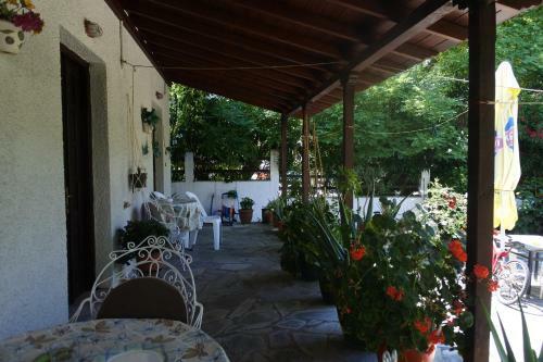 Hostal Parisis Studios