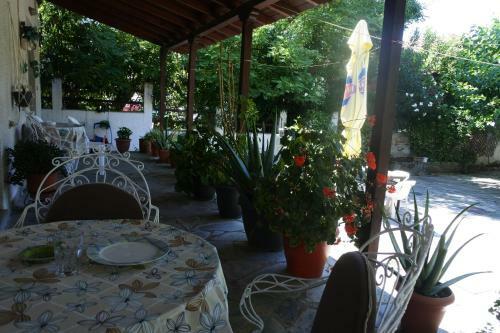 Hostal Parisis Studios