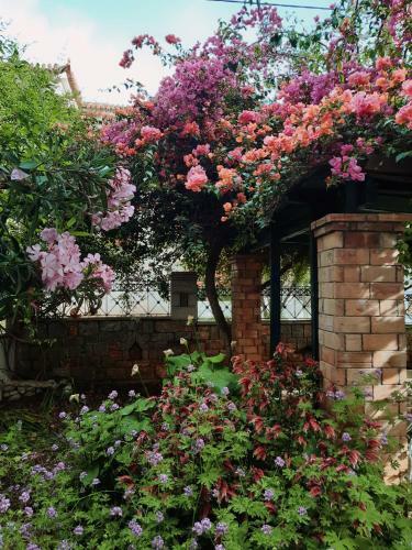Apartamento Veneto's Garden