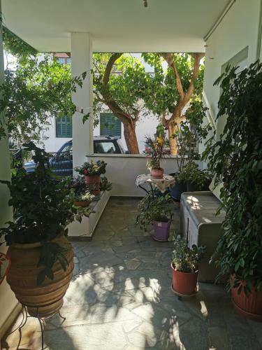 Katerina's Apartments