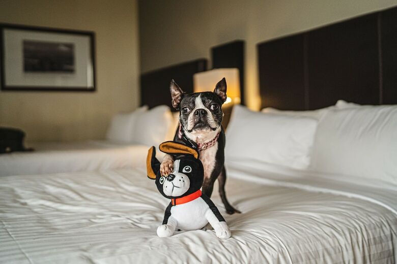 Santiago Marriott Hotel