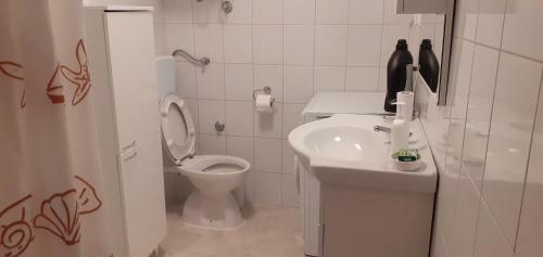 Apartamentos Kelk Loznati