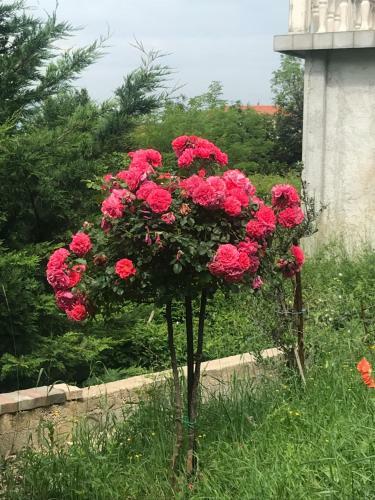 Apartamento Lida