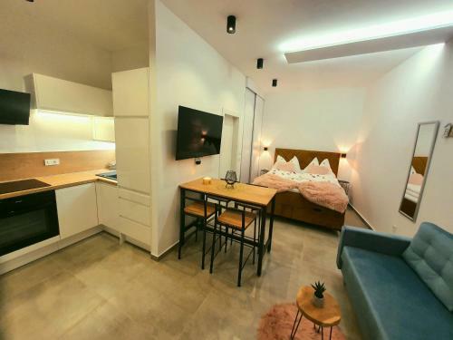 Cozy Studio Apartment Leprin In Labin Old Town