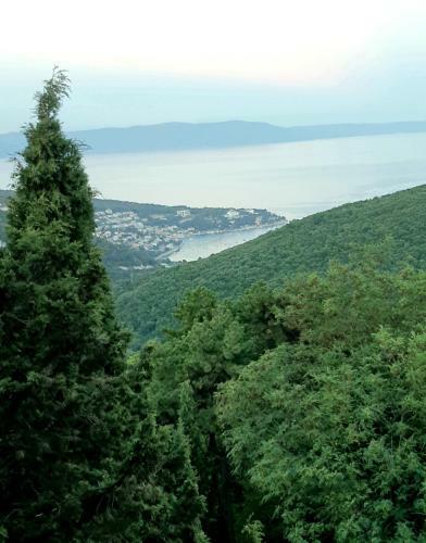 Cozy Studio Apartment Leprin In Labin Old Town
