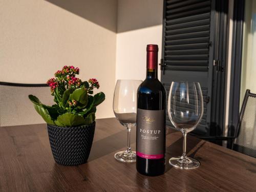 Apartment Ilux-3