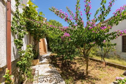 Hostal Apartments Nives, Artatore