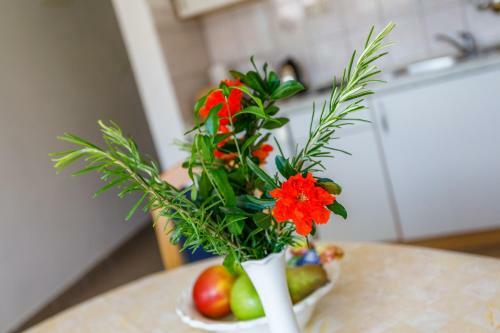Apartman Gaspar