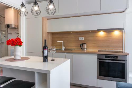 Modern Studio Apartment Lu?i?