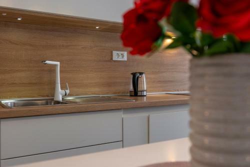 Modern Studio Apartment Lu?i?