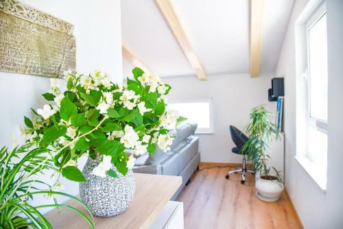 Apartamento Aptartment - Istrian Dream With Swimming Pool