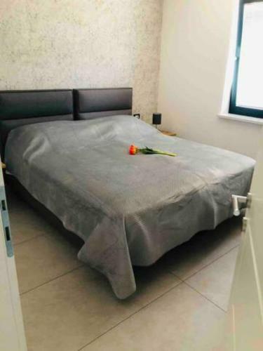 Villa Palma With Private Pool / Croatia