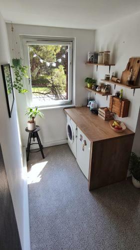 Apartamento Studio New City