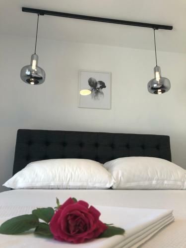 Apartamento Vila Vita