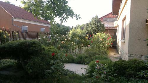 Hostal Mosoly Vend�gh�z