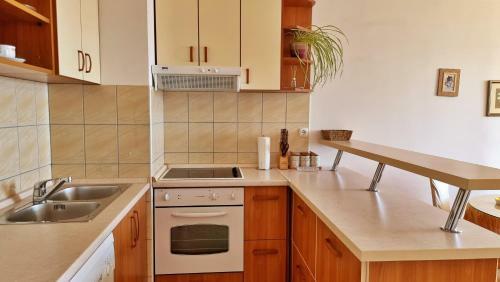 Apartment Cesarica