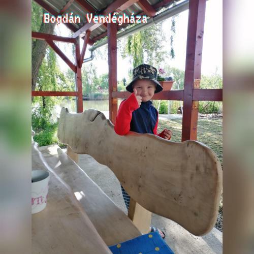 Bogd�n Vend�gh�za