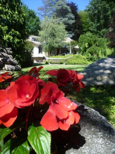 Il Colomb� B&B