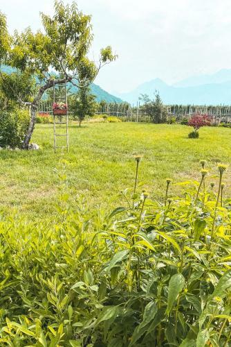 Agroturismo Agriturismo Dal Perotin