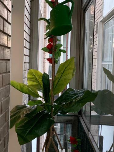 Apartamento Civico Venti