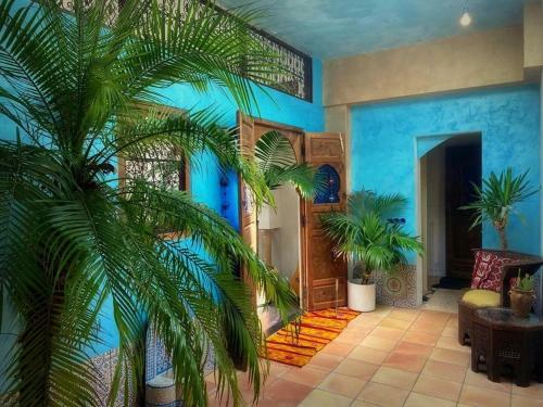 B&B Agrabah, 1001 Nights