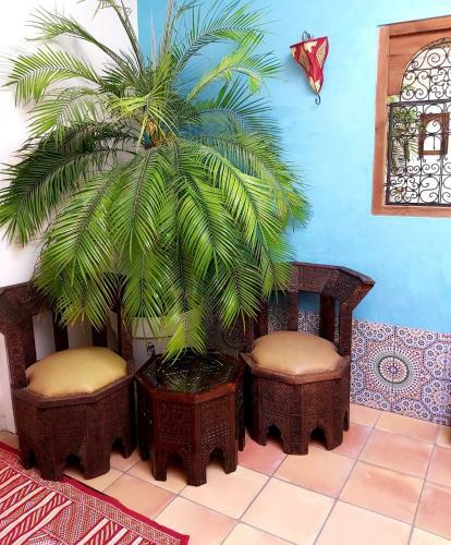 B&B Agrabah, 1001 Nights