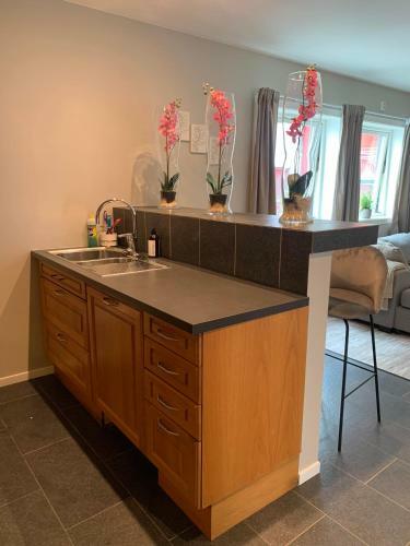 Notodden Sentrum Apartment No 8