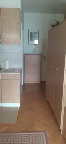 Studio Apartment Tanya