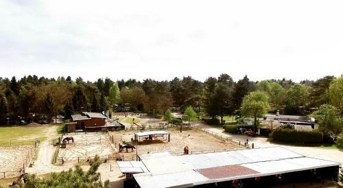 Knus Chalet Midden In De Bossen