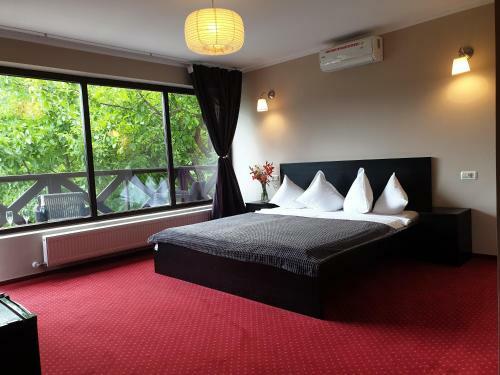 Bed & Breakfast Rex Infinity View 4* Cazanele Dunarii