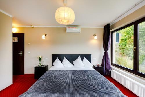 Bed & Breakfast Rex Infinity View 4* Cazanele Dunarii