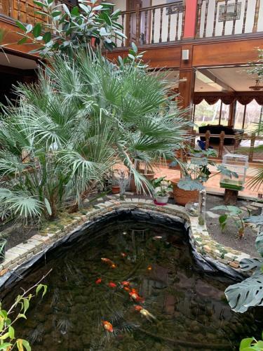 Villa Riad & Spa Focsani