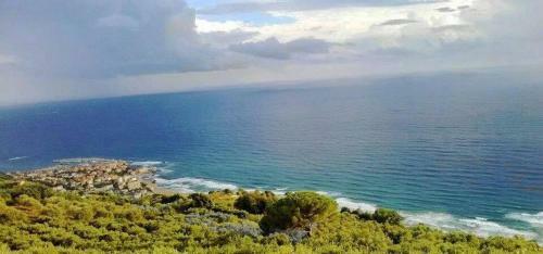 Bed & Breakfast Affittacamere La Vigna